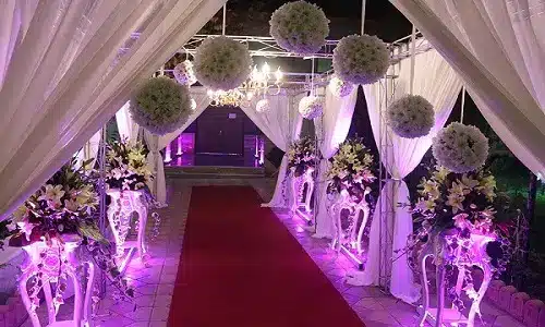 ورود عروس و داماد